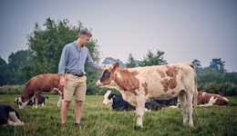 Transition management in autumn calving herds